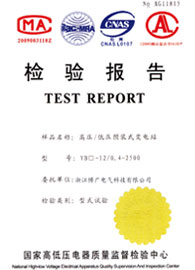 檢驗報告